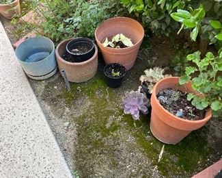 Pots for plants