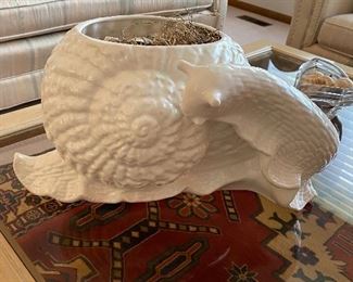 Hispania Porcelain Snail 