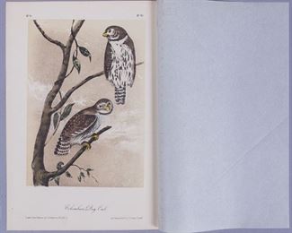 19c JJ Audubon Octavo HC Lithograph Columbian Day-Owl