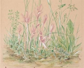 German 1949 Wildflower Watercolor Painting w Verse