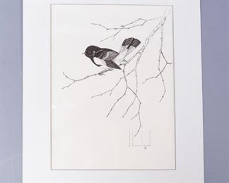 1972 Douglas Howland Pen & Ink Drawing Bird on Branch
