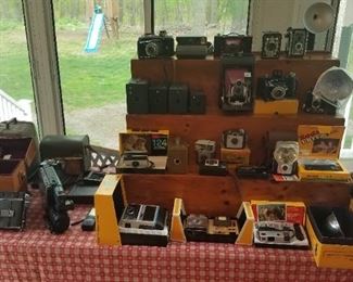 Lots and lots of vintage cameras