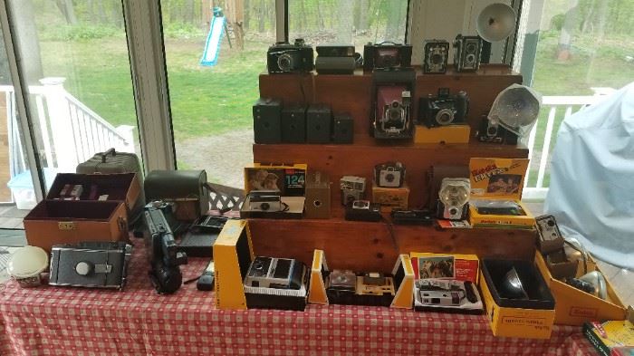 Lots and lots of vintage cameras 