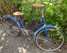 Vintage bike (with a Schwinn light generator attached)