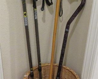 Hiking sticks, cane