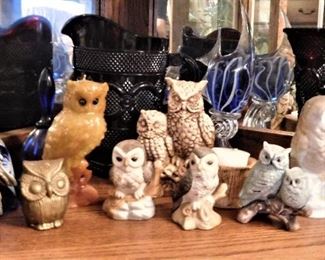 Large Owl Collection