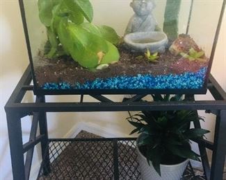 Succulent terrarium