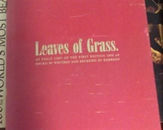 Leaves of grass 