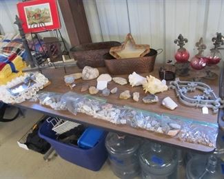 Large selection of Fossils, Seashells, Minerals, Crystals, etc.