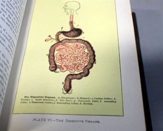 The Masterpiece By J H Kellogg MD, 1886, Early Edition, Color And Black And White Plate Illustrations, Full Leather Binding