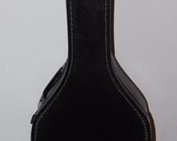Acoustic Guitar Case