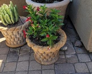 Decorative planters with plants