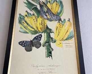 Phoenix art group bird art $45