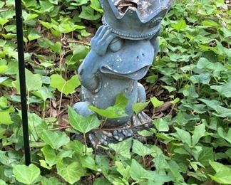 This frog is becoming a prince!