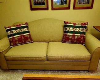 Flaxseed, Sleeper sofa 