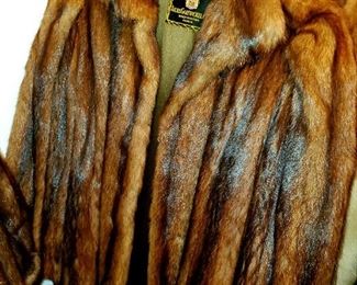 Beaver,  stroller jacket 