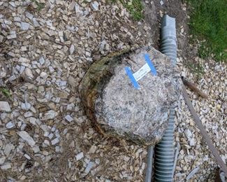 This is a large piece of petrified wood (approx. 18" x 16" x 13")  It is very heavy.  Price is firm at $300. It was just added to sale tonight.
