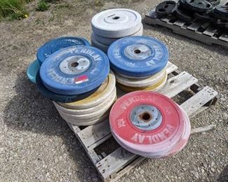 Lot Of Pendlay Weightlifting Weights