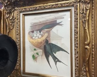 Bird Print in a great gold frame