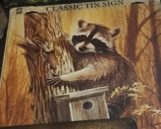Raccoon sign
