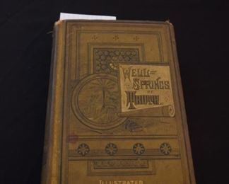 Well-Springs Of Truth By W.W. Breese MD