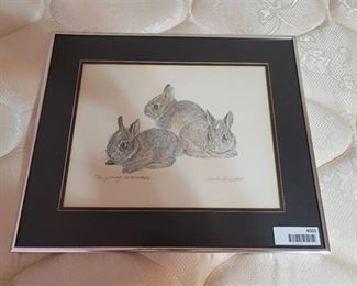 Signed Rabbit Picture