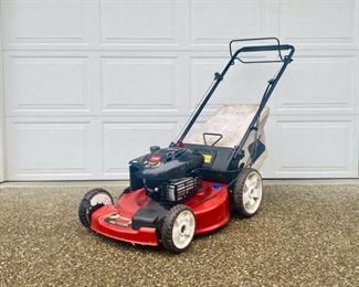 CAFO301 SelfPropelled Lawn Mower