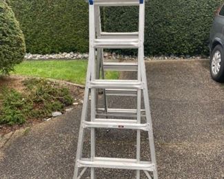 CAFO305 Articulating Ladde 22 ft