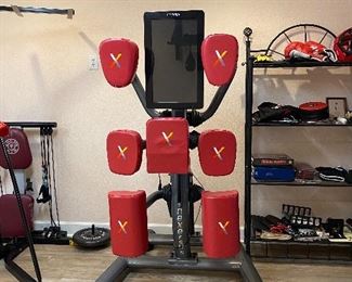 Nexersys Personal Boxing Trainer