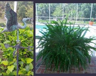 Heron Weather Vane and 1 of 2 HUGE Potted Ferns