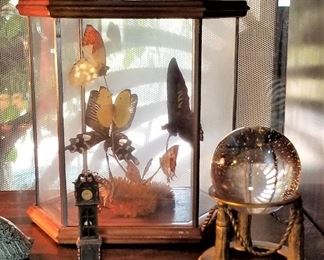Beautiful butterflies in glass case. Glass ball on stand.