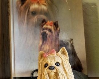 Yorkshire Terrier dog and book.