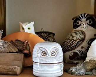 Owl family!