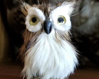 Even cuter fluffy owl!