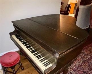 Magnificent Hallet, Davis & Co. Grand Piano