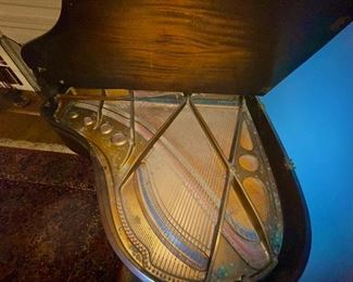 Magnificent Hallet, Davis & Co. Grand Piano