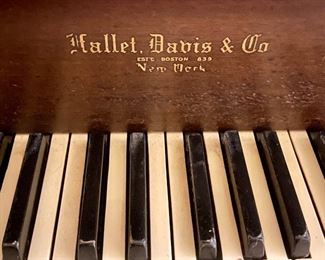 Magnificent Hallet, Davis & Co. Grand Piano