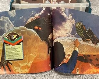 Incredible Rock & Roll LP Record Collection and Inserts