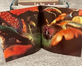 Incredible Rock & Roll LP Record Collection and Inserts