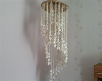 Sea shell decor 