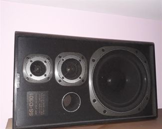 Sony Speakers SS-D301