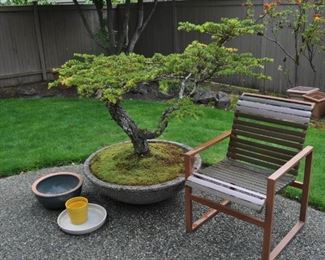 Deodor Cedar Bonsai in large aggregate planter,  patio set, DCS barbecue, vintage cast iron 2' square umbrella stand, adjustable umbrella, pots and planters, windchimes