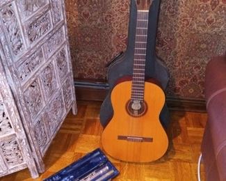 Guitar/musical instruments