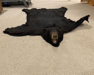 LARGE REAL BEAR RUG