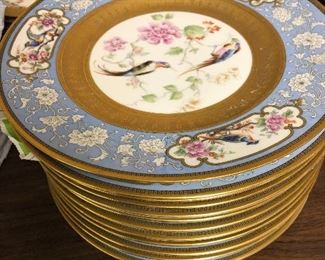 Royal Bavatian - Birds of Paradise