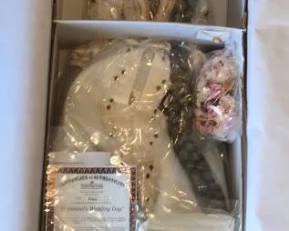 Rapunzel Bride Doll by AshtonDrake Galleries Artist Cindy McClure