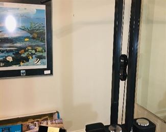 Complete Iron Master home gym