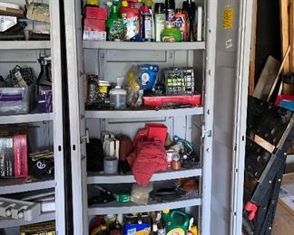 Car Care items, Bug Spray, Plant Food