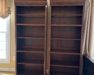 Lighted bookcase 