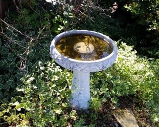 Bird bath 